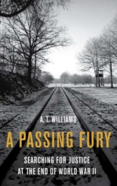 A Passing Fury : Searching for Justice at the War's End