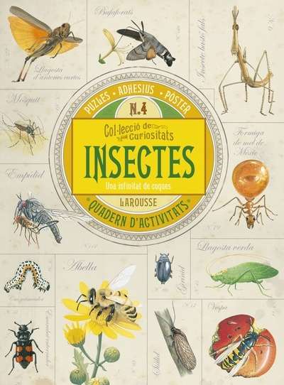 Col.lecció de curiositats. Insectes