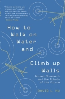 How to Walk on Water and Climb up Walls : Animal Movement and the Robots of the Future