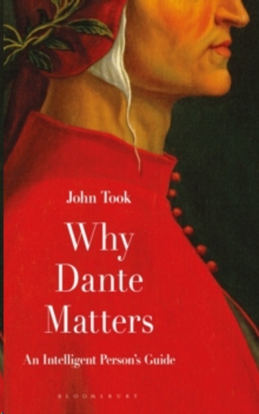 Why Dante Matters : An Intelligent Person's Guide