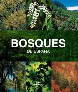 Bosques de España