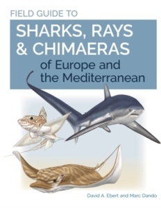 Field Guide to Sharks, Rays x{0026} Chimaeras of Europe and the Mediterranean