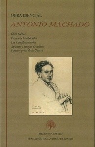 Obra esencial. Obra poética. Prosas de los apócrifos. Los Complementarios. Apuntes y ensayos de crítica. Poesía
