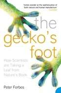 The Gecko's Foot