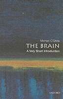 The Brain
