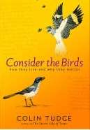 Consider the Birds