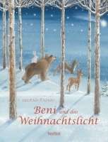 Beni und das Weihnachtslicht