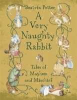 A Very Naughty Rabbit