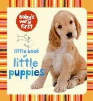 Little Book of Puppies     board book