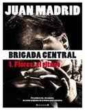 Brigada central