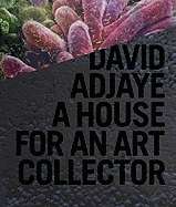 David Adjaye: A House for an Art Collector