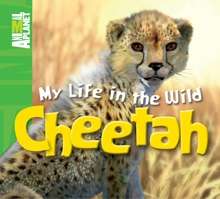 My Life in the Wild: Cheetah