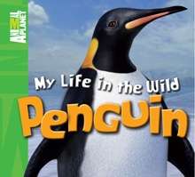 My Life in the Wild: Penguin