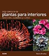 Guía completa de plantas para interiores