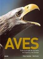 Aves