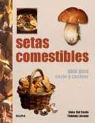 Setas comestibles