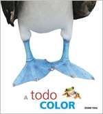 A todo color