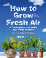 How to Grow Fresh Air