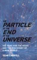 The Particle at the End of the Universe