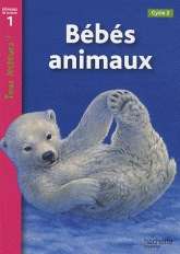 Bébés animaux Niveau 1