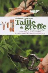 Taille x{0026} greffe