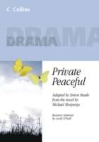 Private Peaceful, A Play