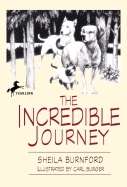 Incredible Journey