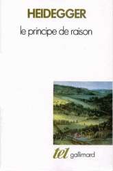 Le principe de raison