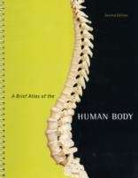 A Brief Atlas of the Human Body