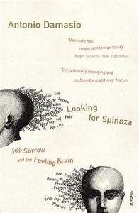 Looking for Spinoza