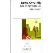 Un merveilleux malheur
