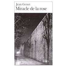 Miracle de la Rose