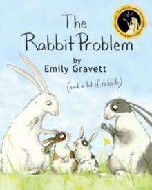 The Rabbit Problem