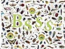 Bsss