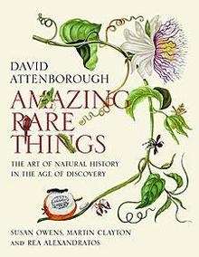 Amazing Rare Things