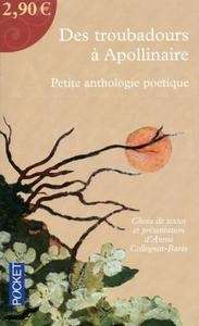 Des troubadours à Apollinaire