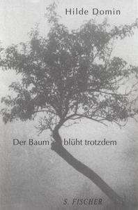 Der Baum blüht trotzdem