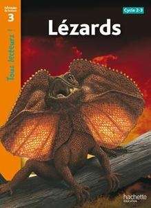 Lézards (niveau 3 - CE1/CE2)