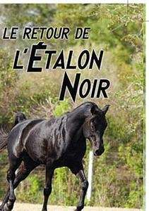 Le retour de l'étalon noir