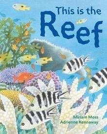 This is the Reef