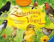 Zauberland der Vögel