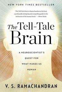 The Tell-Tale Brain