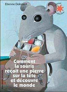 Comment la souris reçoit une pierre sur la tête et découvre le monde