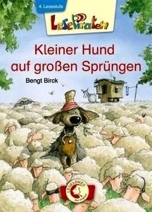 Kleiner Hund auf grossen Sprüngen. Lesestufe 4