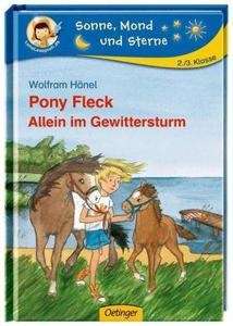Pony Fleck - Allein im Gewittersturm