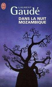 Dans la nuit Mozambique