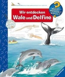 Wir entdecken Wale und Delfine