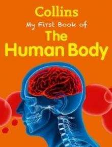 My First Book of the Human Body