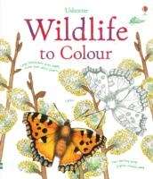 Wildlife to Colour