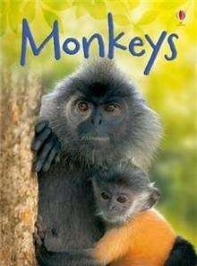 Monkeys